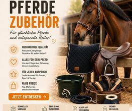 Pferdchen24 Bild 6
