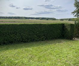 Hecke