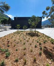 Michel Maret & Fils SA Bild 3