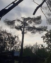 Alp'azur Elagage image 12