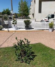 Jardins Et Maisons image 7