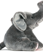 Balestrafic SA Bild 1