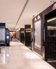 Áurea Washington Irving