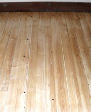 Dino Parquet Peinture Bild 5