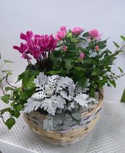 Secrets de Fleurs image 15