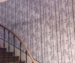 DIMNET CAROLE image 4