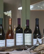 Gallery Professionale