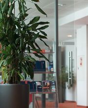 Ströer Deutsche Städte Medien GmbH Bild 8