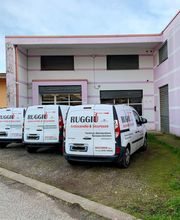 Gallery Cliente