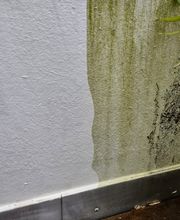 Exakt Gebäudedienste Bild 10