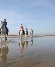 MAS DE L'ESPIGUETTE image 1