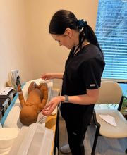 Great Falls Medical Assistant School image 15