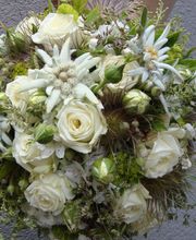 Blumen Petermann Bild 1