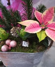 Des Fleurs En Plus image 18