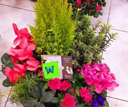 Au Jardin Fleuri image 7