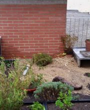 Götsch Gartenpflege GmbH Bild 2