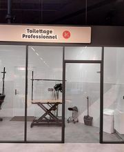 Animalis L'Isle Adam image 4