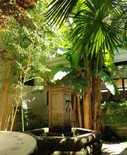 Pépinières de Corme Royal image 8