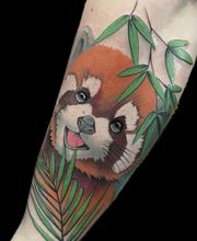 Screenshot 2025-03-10 202532.png