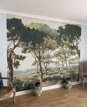 Villedieu Olivier image 2