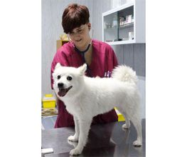 Veterinario Alcorcón imagen 3