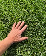 Magic Garden Sagl Bild 5