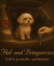 Screenshot 2025-10-23 172804.png