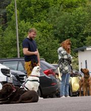 Hundezentrum Saarburg Bild 1