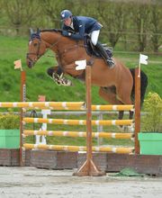 Ecuries du Chatillon image 3