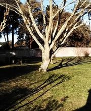 Jardins d'Ile image 7