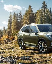 Garage du Righi Chèvre SA Bild 5