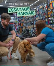 Tom&Co Denain image 1