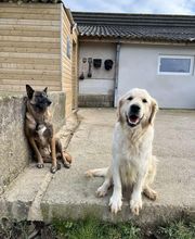 Le royaume du Bonheur image 8