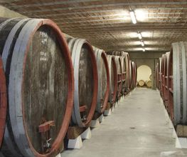 Domaine Martin image 15