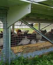 Jörgen Quaas Bild 4