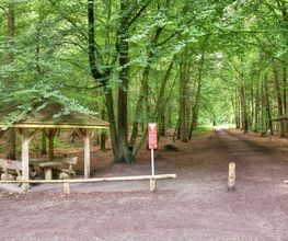 FriedWald Buxtehude Bild 10