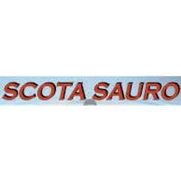 Idraulico Scota Sauro logo