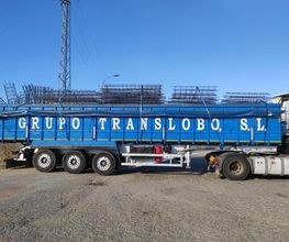 TRANSLOBO1.jpg