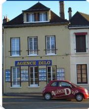 Dilo89 Immobilier image 1