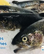 Pisciculture & Poissonnerie Beaume image 13