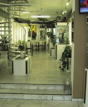 Focus Optic Messner Bild 1