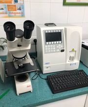 hematologia.jpg