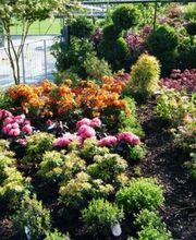 Gaertnerei in Basel-Stadt