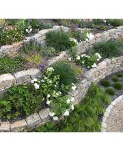Rieger Gartengestaltung GmbH & Co. KG Bild 6