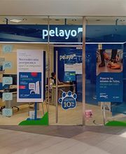 Oficina Seguros Pelayo imagen 1