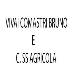 Vivai Comastri Bruno e C. Ss Agricola logo