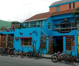 Flying Fish Tulum imagen 7