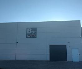 Boxlaïta image 8