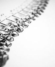 Bakke Chiropractic Clinic image 5