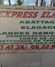 Express Elagage image 3